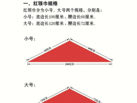 中国少年先锋队标志礼仪基本规范(附word版下载)