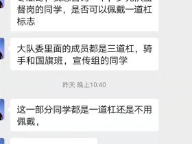 大队委员会的人数太少了,可以灵活些吗?
