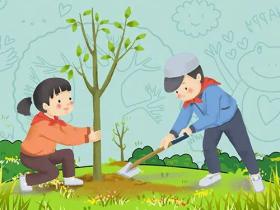 【国旗下讲话】植树节,播种希望,收获成长