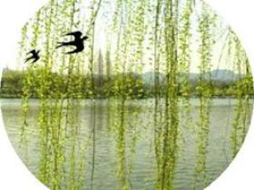 赞少先队辅导员|春风十里不如你,一抹红色唤起笑靥如花