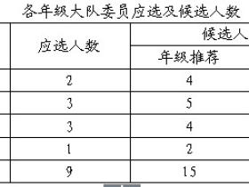 王延风老师谈少先队小干部队伍建设