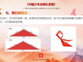 一起学《队章》|七、我们的标志
