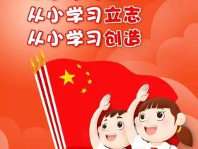 全国少工委《红领巾实践激励实施办法》