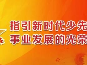 迎接第八次全国少代会召开,学校少先队应该做些什么?