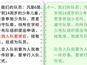 一起学习新《队章》(3)——第八次全国少代会学习笔记(六)