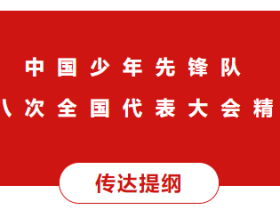 中国少年先锋队第八次全国代表大会精神传达提纲