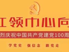 参考|少先队活动月历-2021年6月