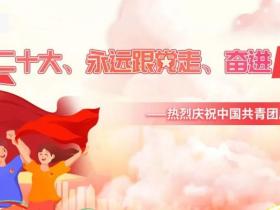 参考|少先队活动月历-2022年5月