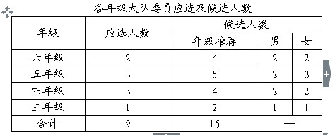 王延风老师谈少先队小干部队伍建设-图片1