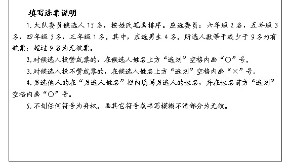 王延风老师谈少先队小干部队伍建设-图片2